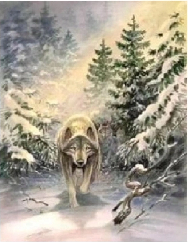 Norimpex malování podle čísel Vlk v lese 40 × 50 cm