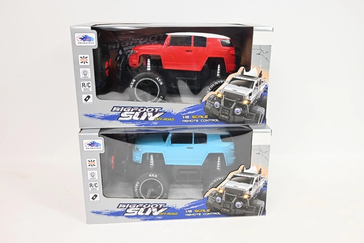 Auto na dálkové ovládání