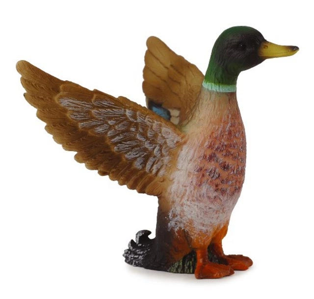 Levně Collecta kačer kachny divoké figurka