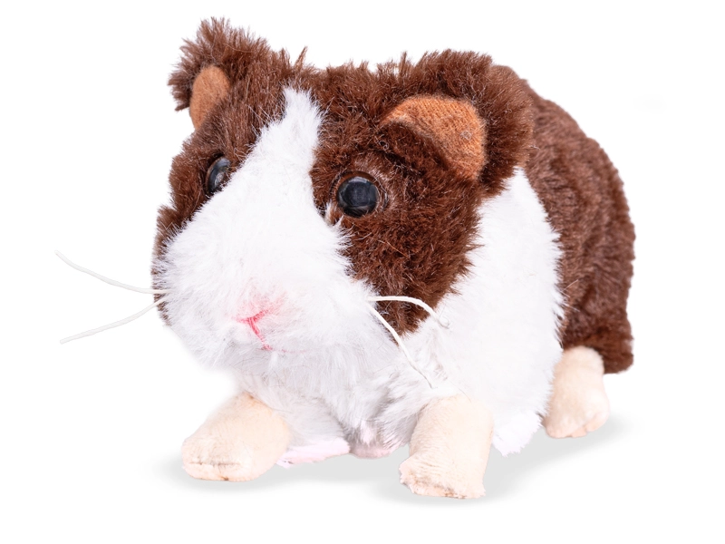 Plyšové morče 18 cm Teddies