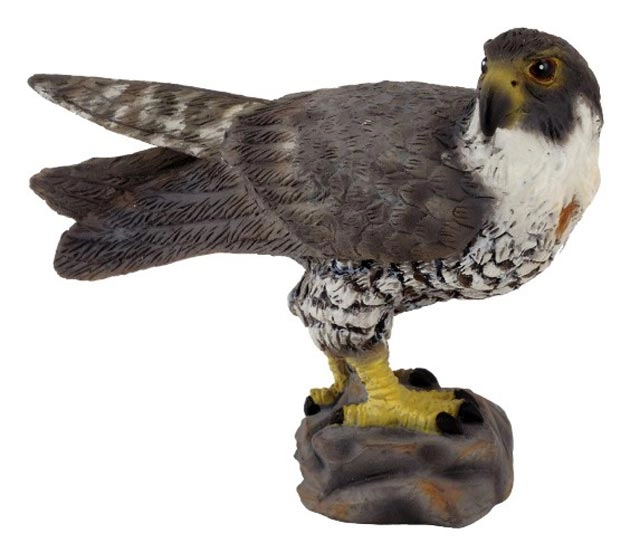 Levně Figurka sokola stěhovavého COLLECTA