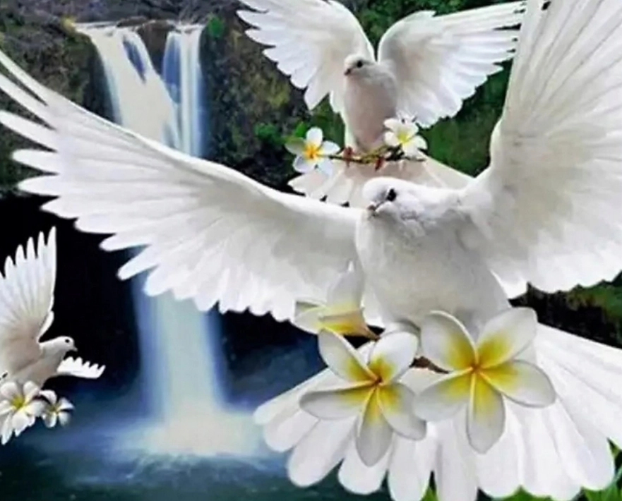 Diamantové malování Bílé holubice 30 × 40 cm