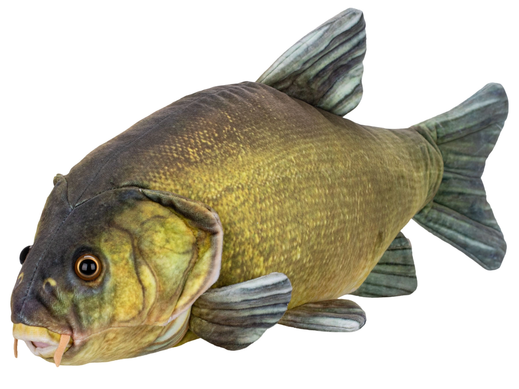 Plyšový lín 50 cm