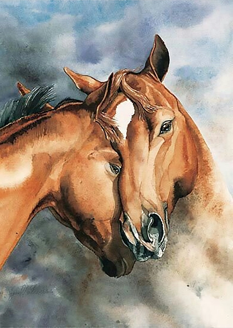 Norimpex malování podle čísel Koně 40 × 50 cm