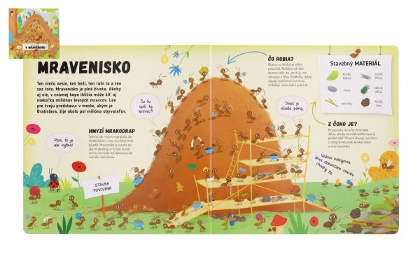 Kniha Čo se děje v mraveništi