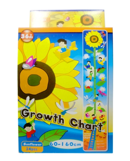 Pěnové puzzle slunečnice – růstové měřítko 24 dílků