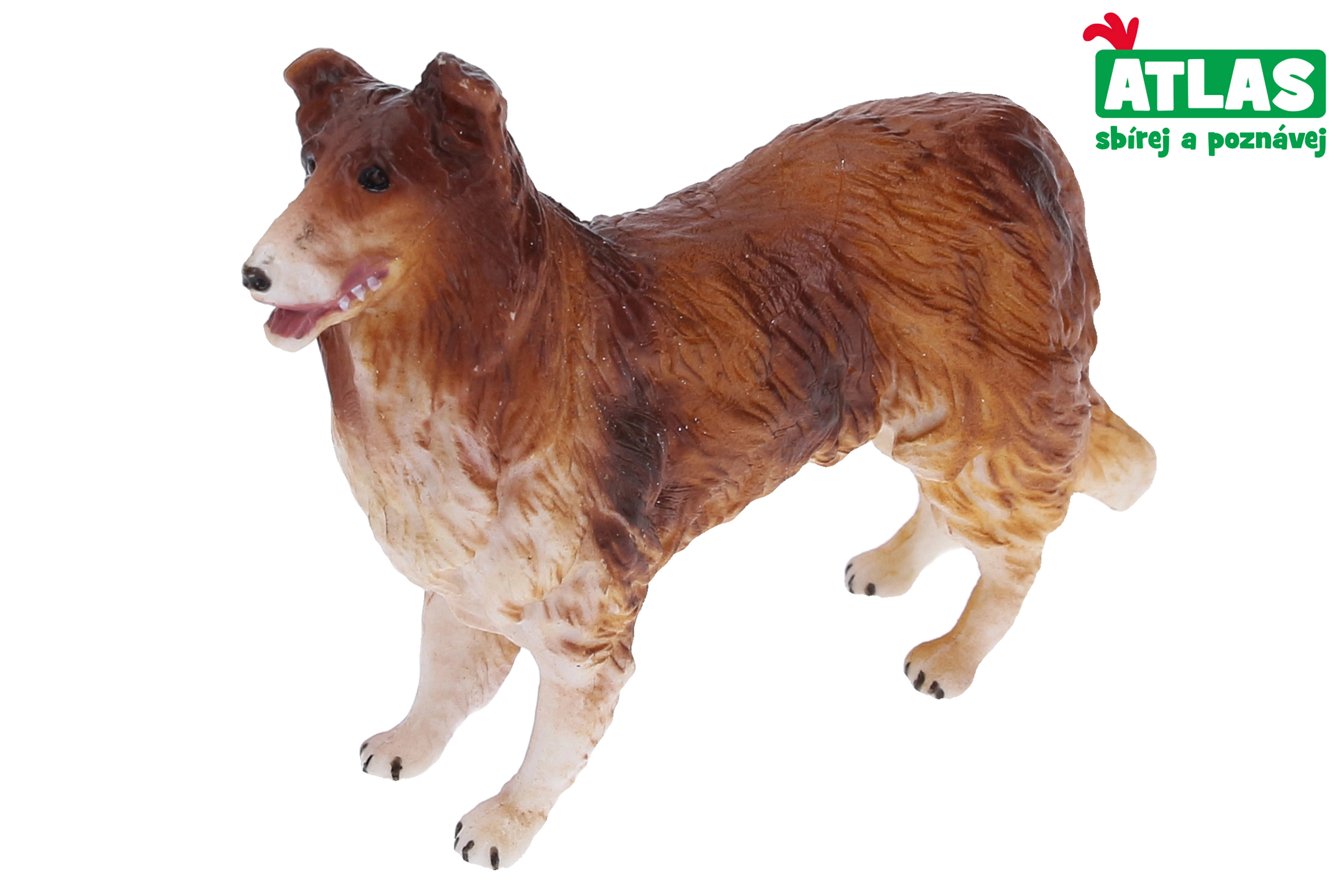 Levně Atlas B Kolie 9,5 cm