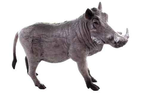 Plastová figurka prase bradavičnaté