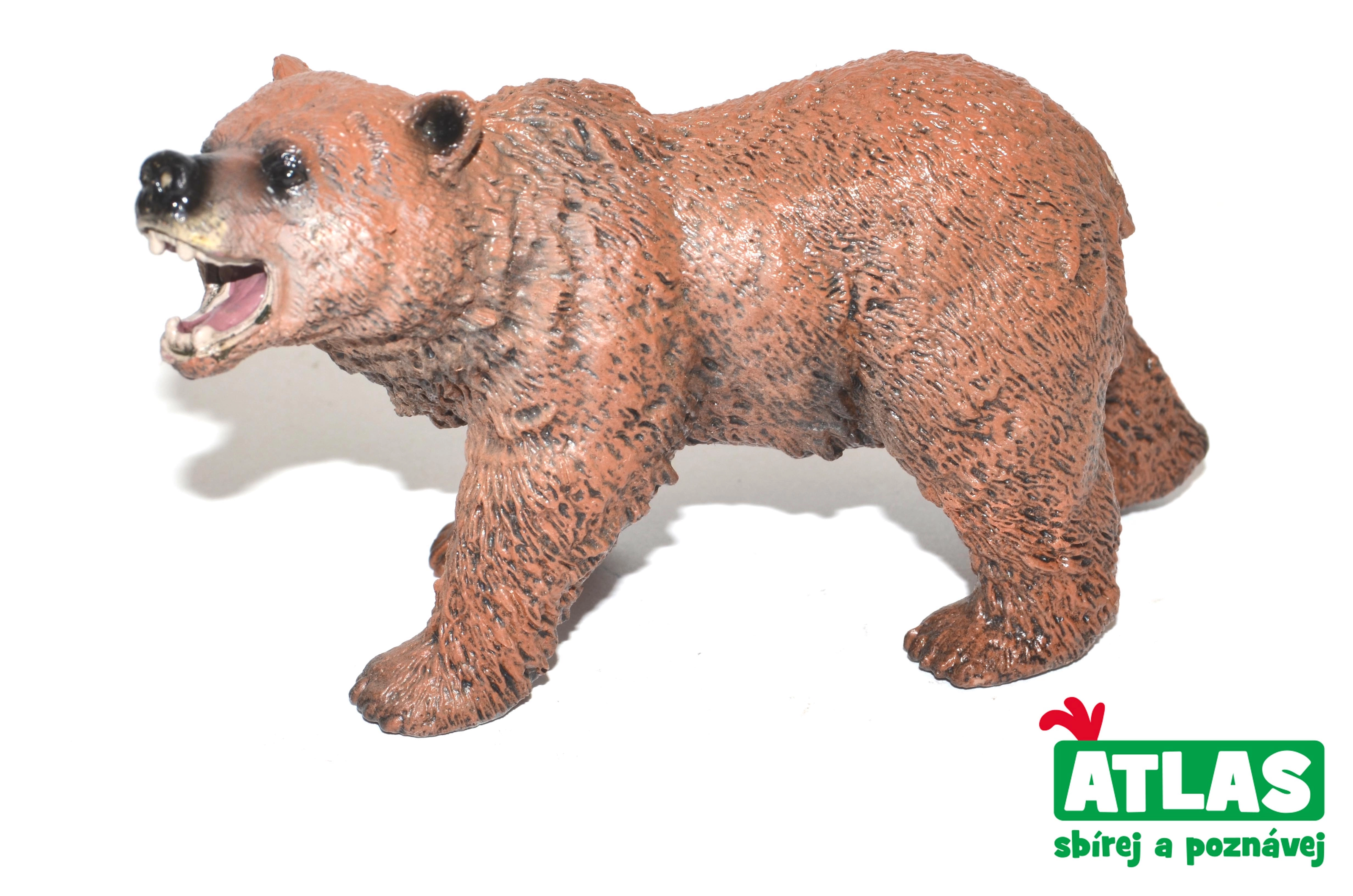 Levně Atlas C Medvěd hnědý 11 cm
