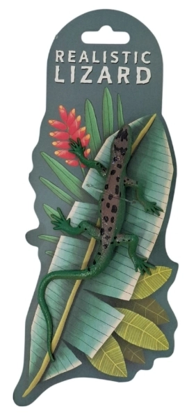 Zvířata chameleon měnící barvu