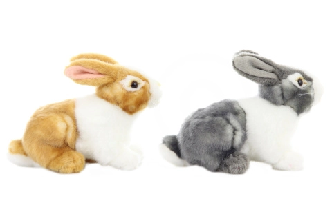 Plyš králík 2 barvy 19cm