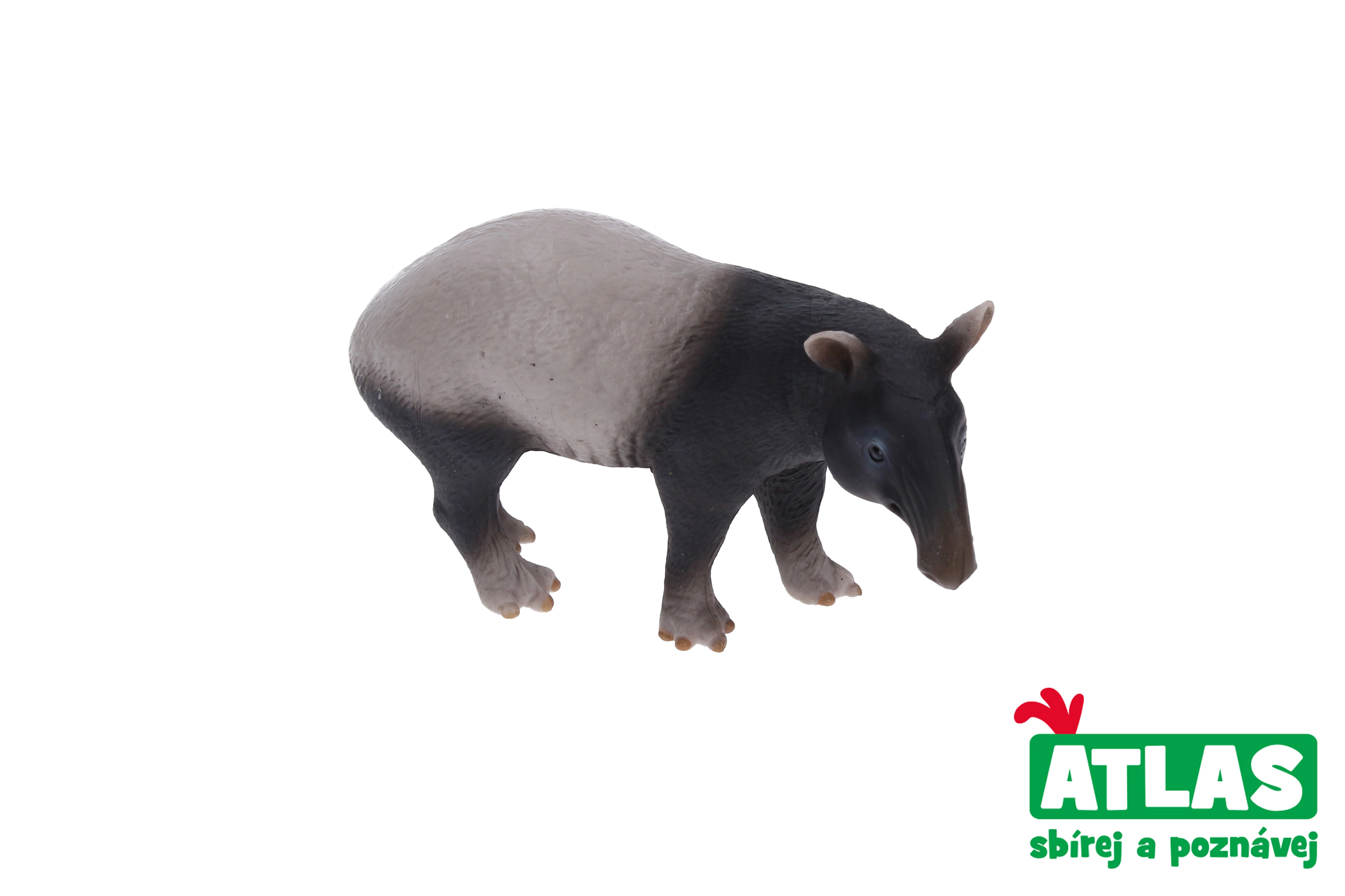 Levně Atlas C Tapír