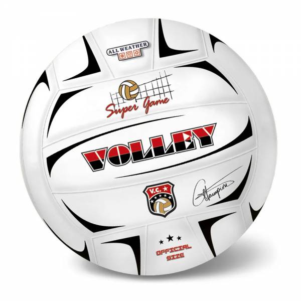 Volejbalový míč Champions 21 cm