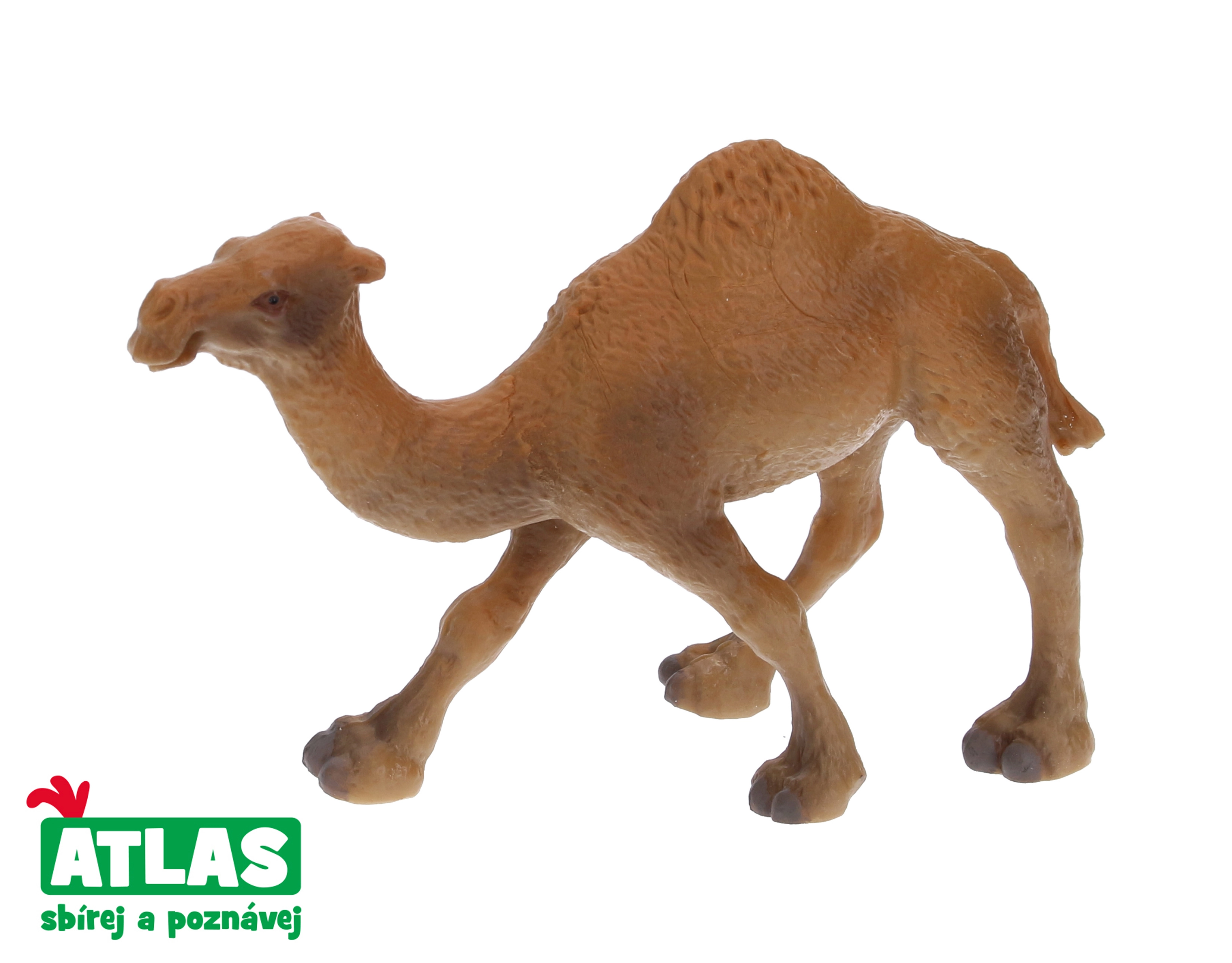 Levně Figurka velbloud jednohrbý 11 cm