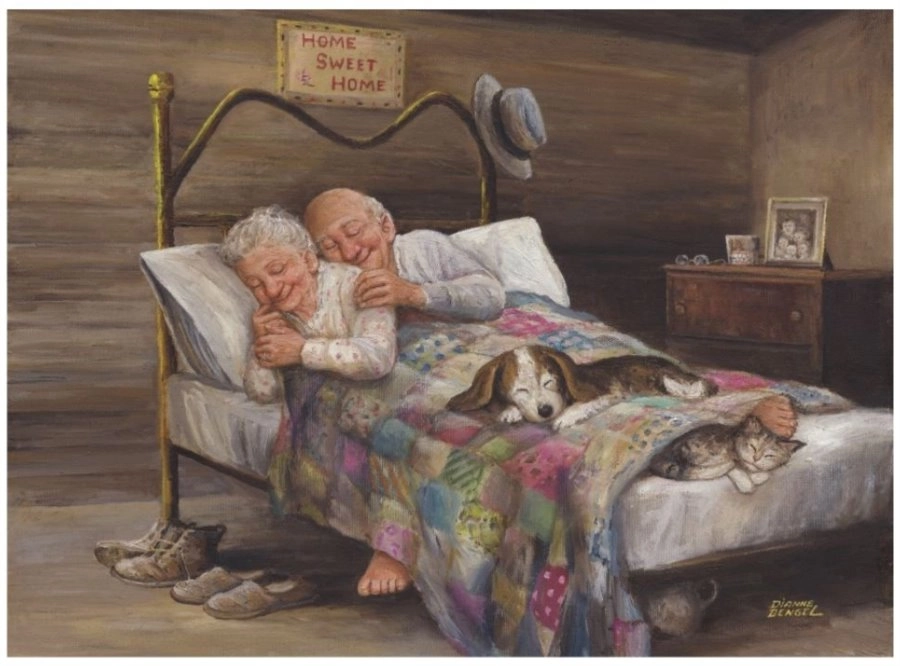 Puzzle Všude dobře, doma nejlíp 1000 dílků