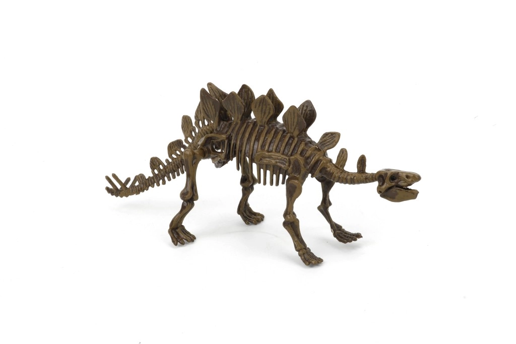 Levně Archeologická sada 3D Stegosaurus