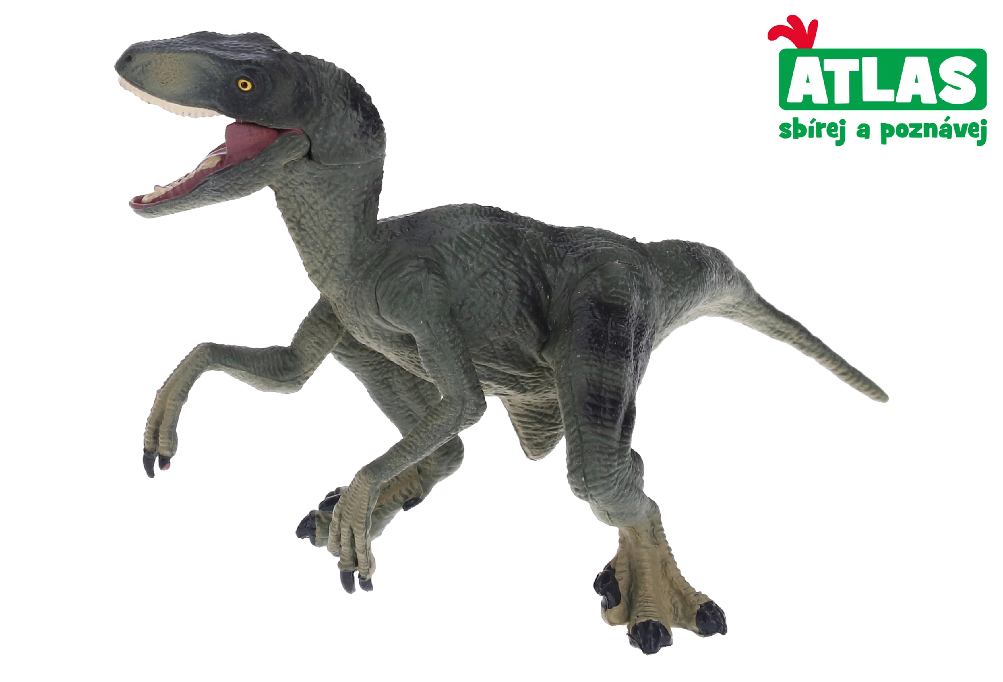 Levně Atlas C Velociraptor