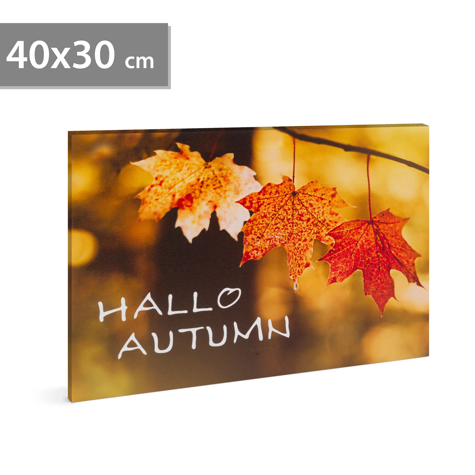 LED obraz Hello autumn 40 × 30 cm