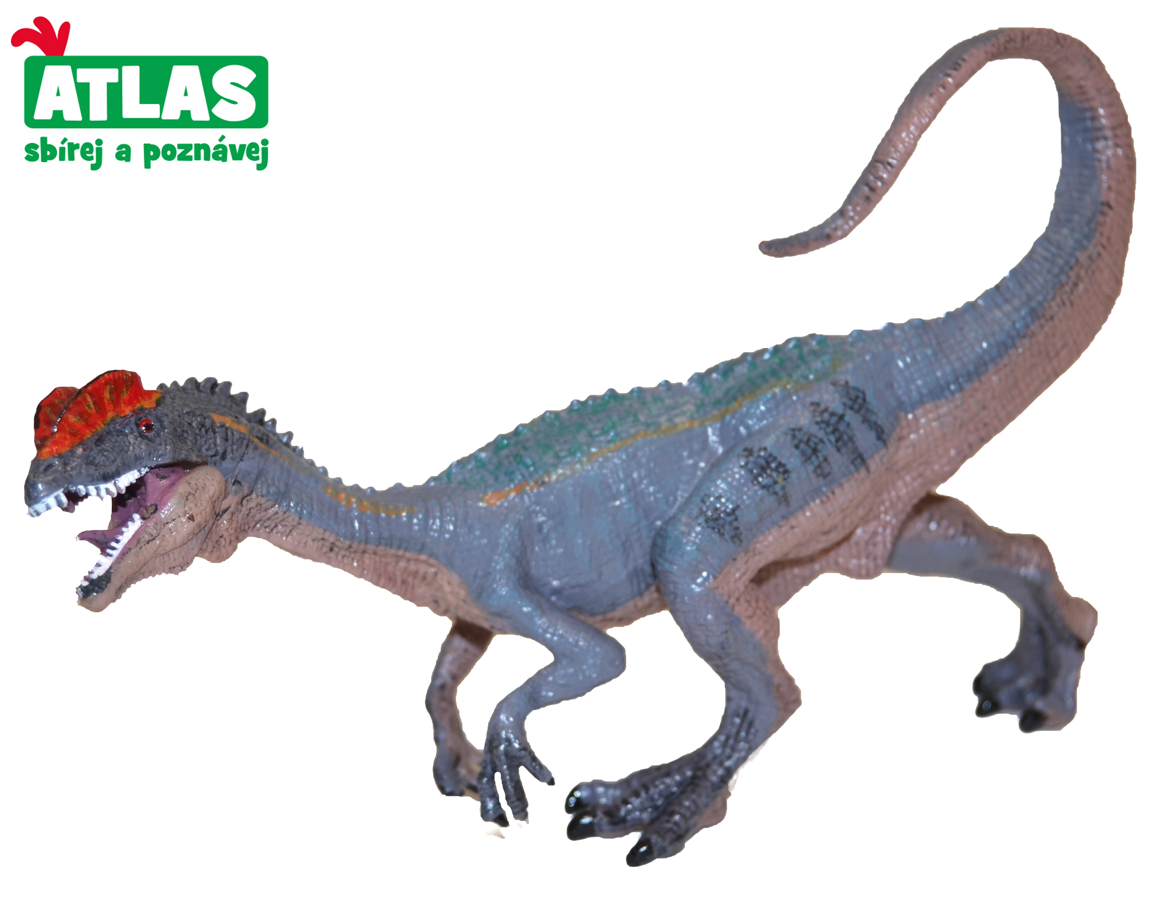 Levně Atlas E Dino Dilophosaurus