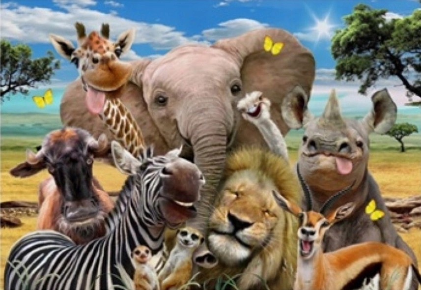 Norimpex malování podle čísel Safari 40 × 50 cm