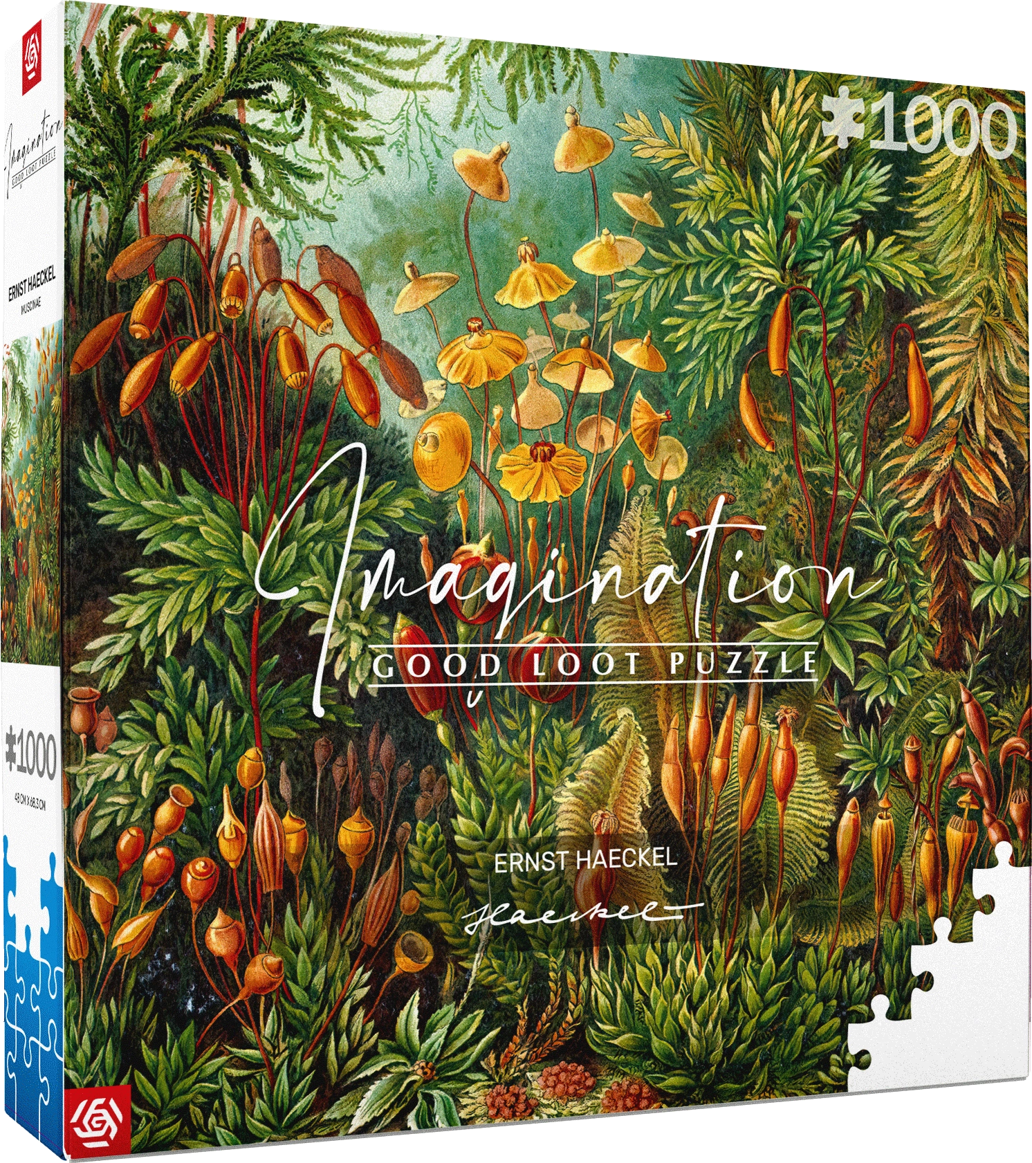 Puzzle Imagination: Ernst Haeckel - Muscinae 1000 dílků