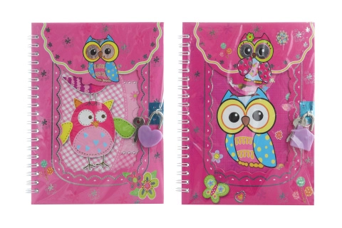 Zápisník na klíček se sovičkami 13 × 18 cm