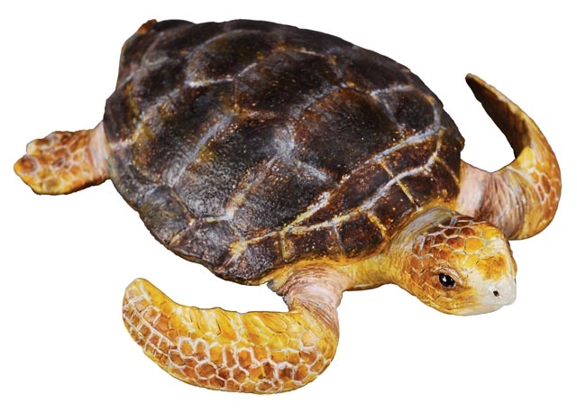 Levně Collecta Želva