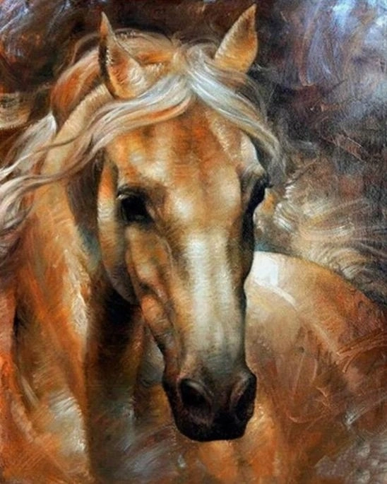 Norimpex malování podle čísel portrét koně 40 × 50 cm