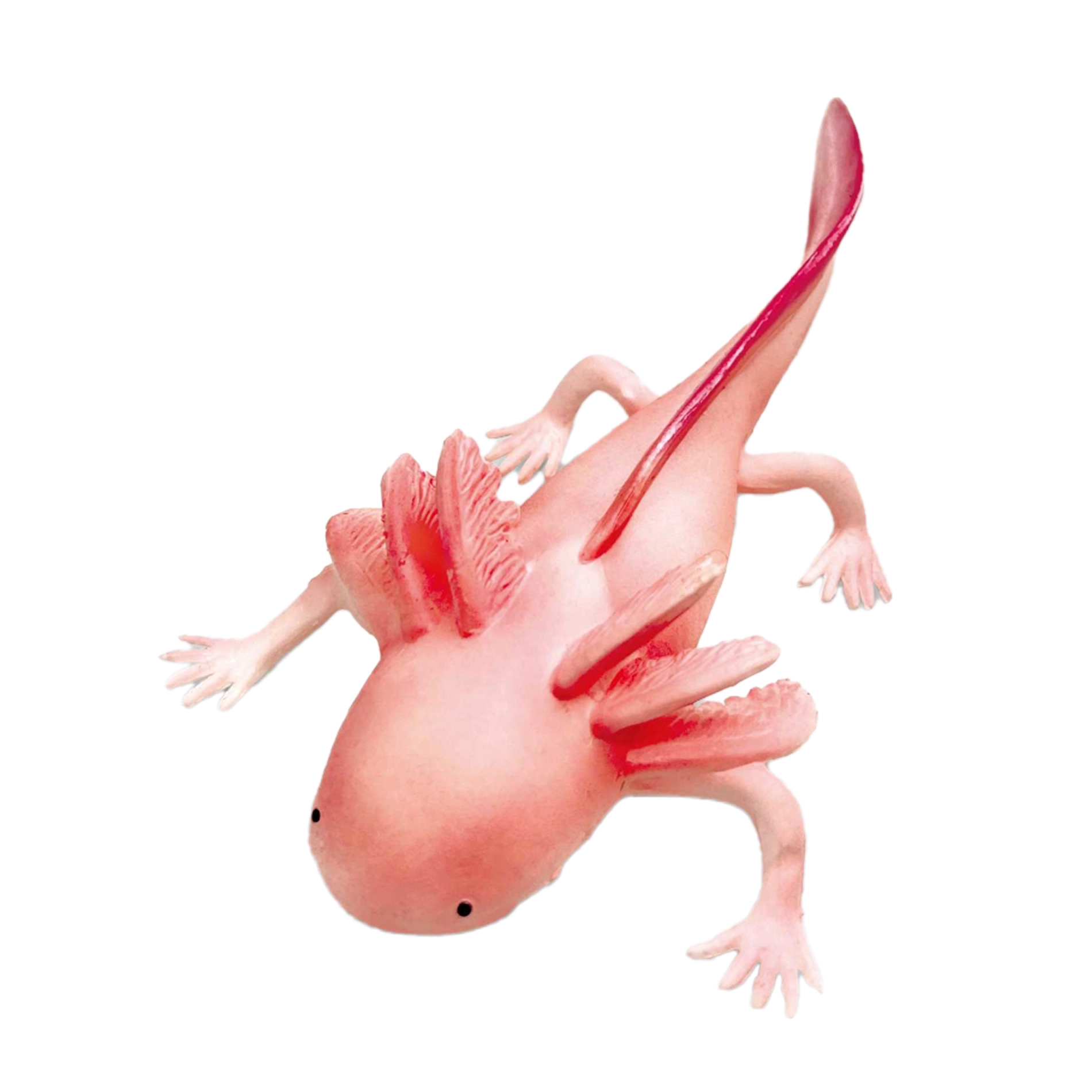 Gumový axolotl 19 cm