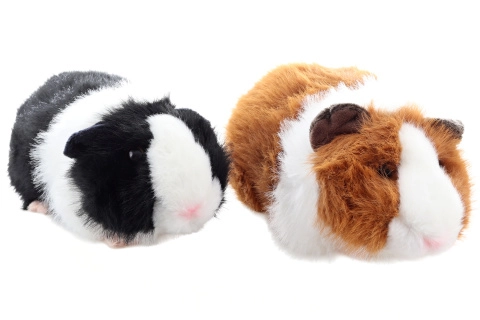 plyšové morče eco-friendly 20 cm