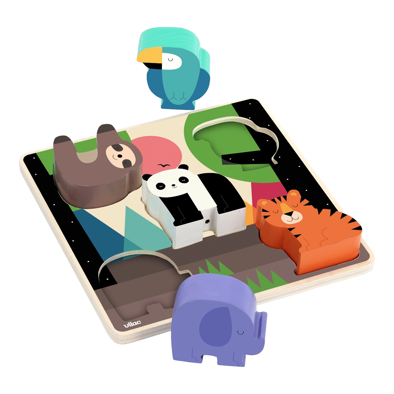 Vilac Vesmírný rybolov