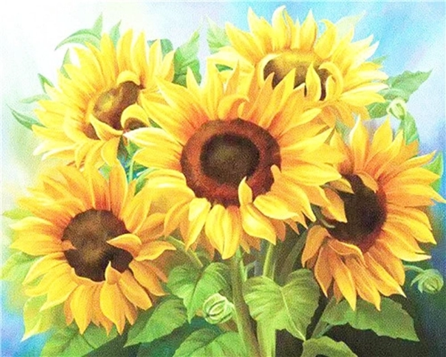 NORIMPEX Malování podle čísel Kytice slunečnic 40 × 50 cm