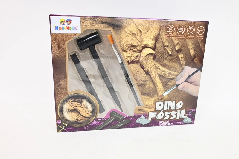 Vykopávky fosilie pro malé paleontology