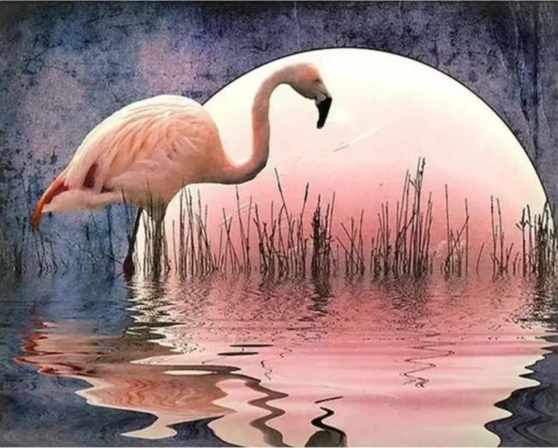 Norimpex Malování podle čísel Plameňák 40 × 50 cm