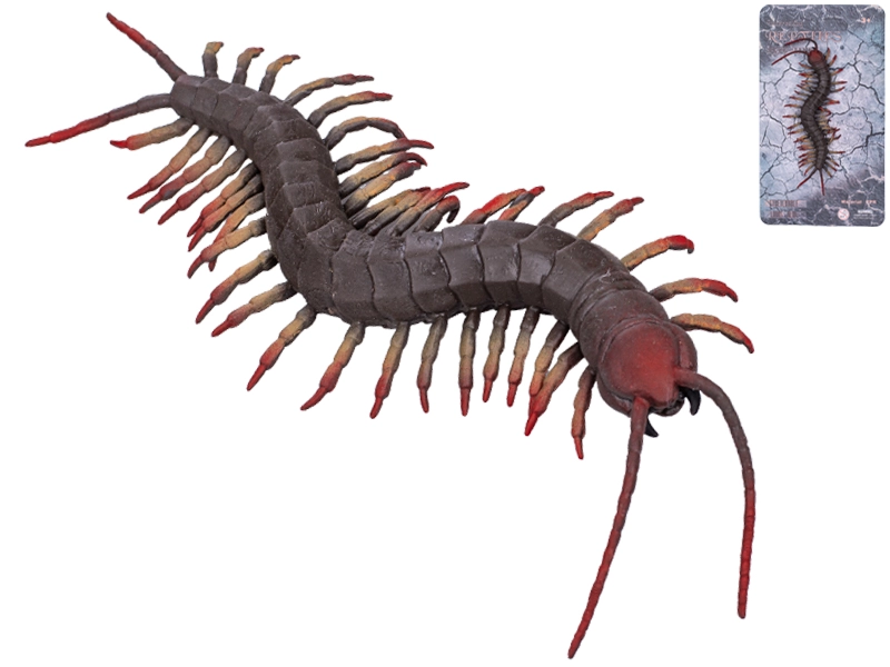 Strečová stonožka 17 cm