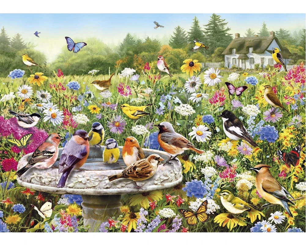 GIBSONS Puzzle Tajná zahrada 1000 dílků