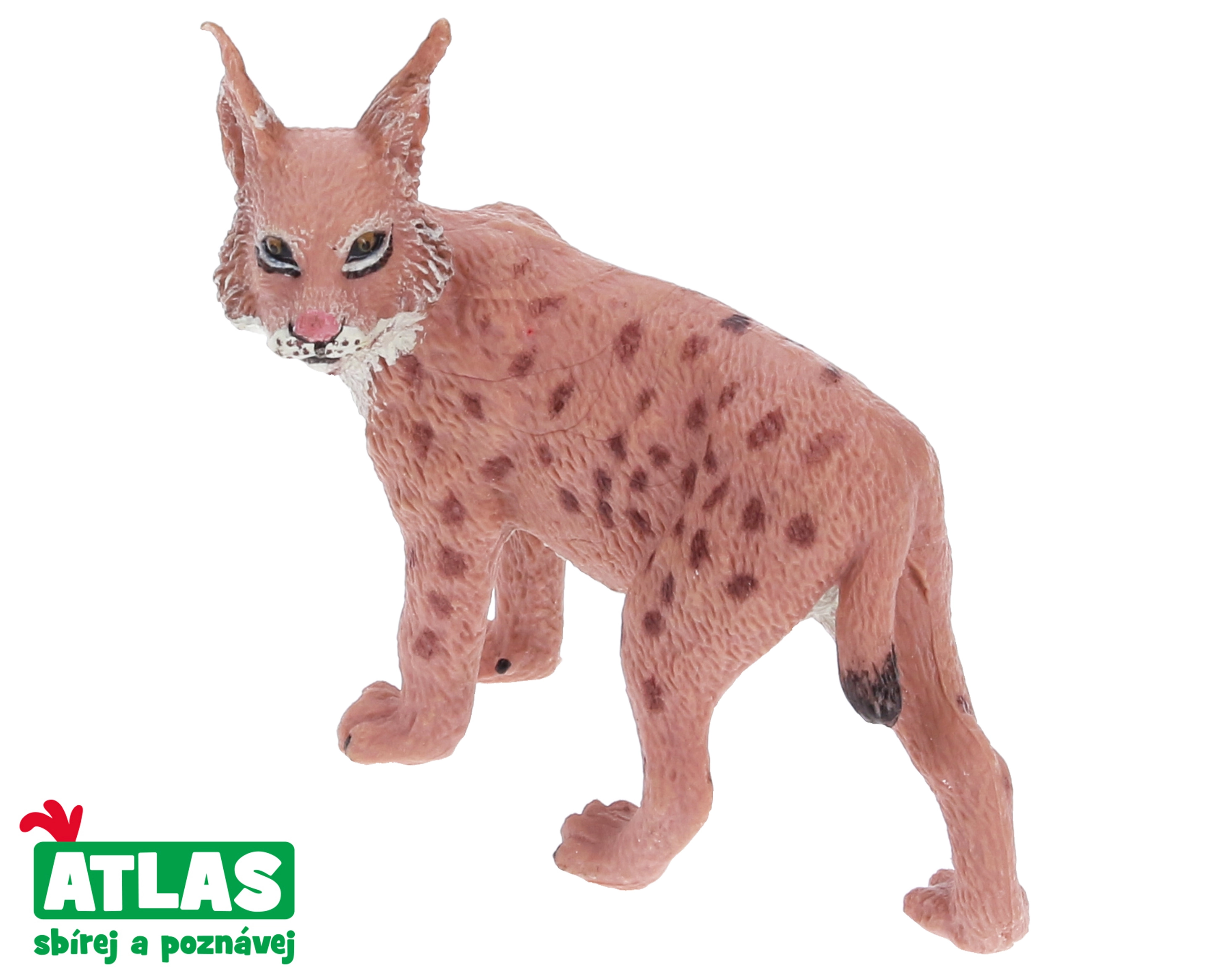 Levně Atlas A Rys 7 cm