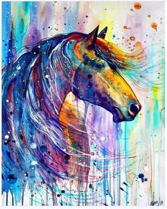 NORIMPEX Malování podle čísel Abstraktní kůň 40 × 50 cm