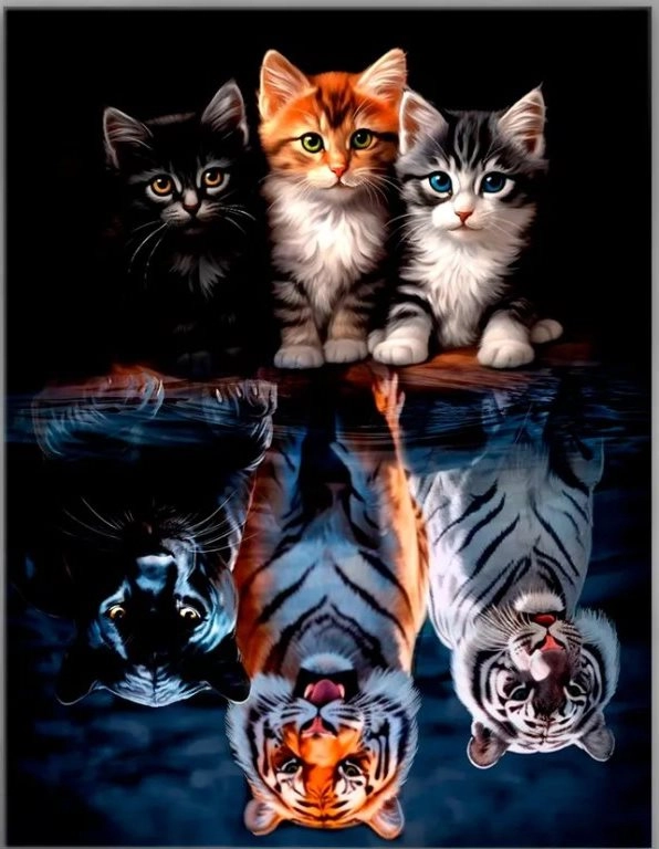 Diamantové malování – kočky a šelmy 30 × 40 cm