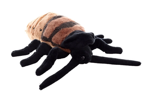 Plyš Šváb syčící 20cm