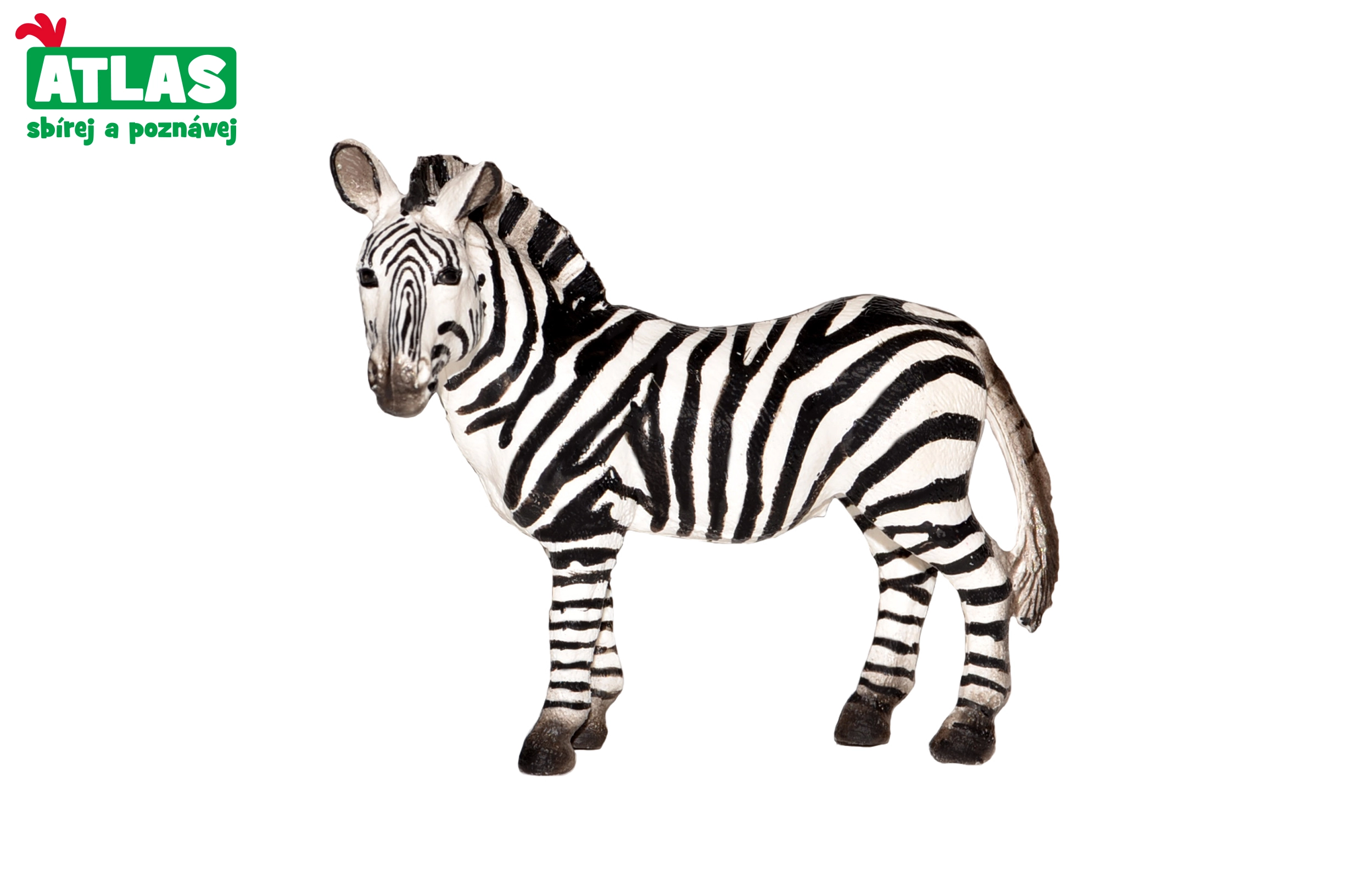Levně Atlas D Zebra 10 cm