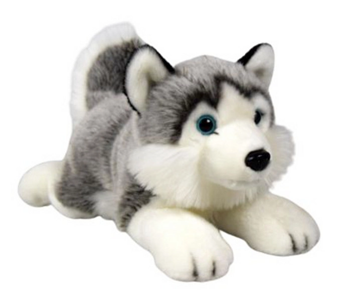 Plyšový husky ležící 34 cm