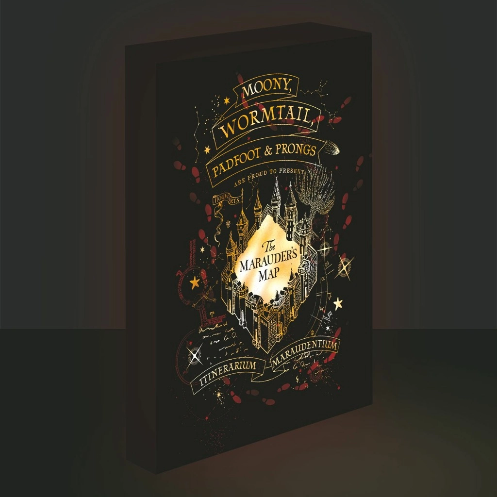 Obraz LED svítící 30x40, Harry potter - Pobertův plánek