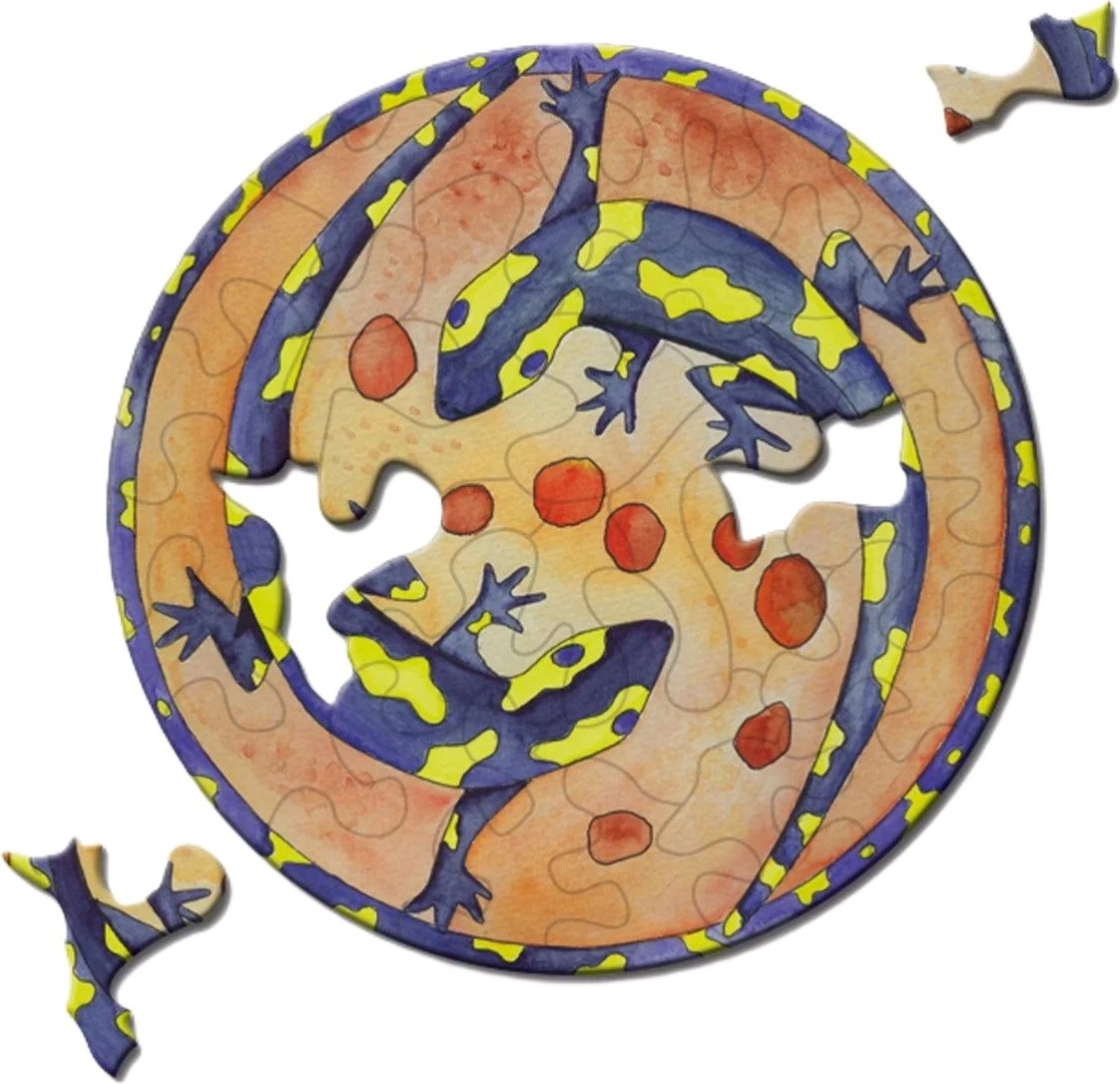 Kulaté puzzle CURIOSI Picoli – mlok, 33 dílků