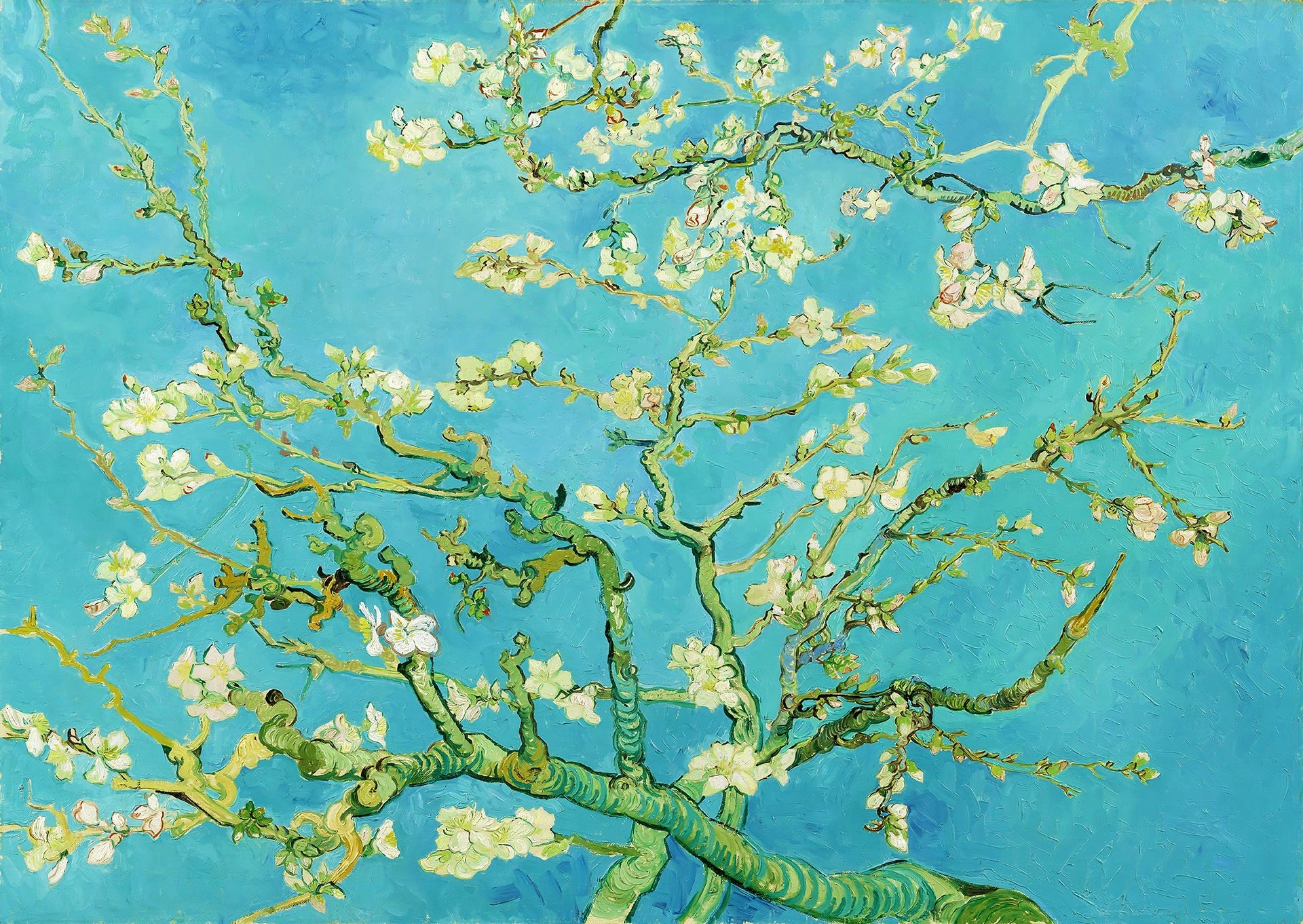 Puzzle Vincent Van Gogh větev mandlovníku 1000 dílků