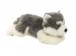 Plyšový pes Husky pro děti