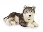 Plyšový pes husky ležící 60 cm ECO‑FRIENDLY od RAPPA