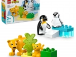 LEGO® DUPLO® 10442 Rodinky divokých zvířat: Tučňáci a lvi