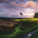 Puzzle Rýžová pole Bali 500 dílků