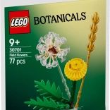 Lego Botanicals – luční květiny